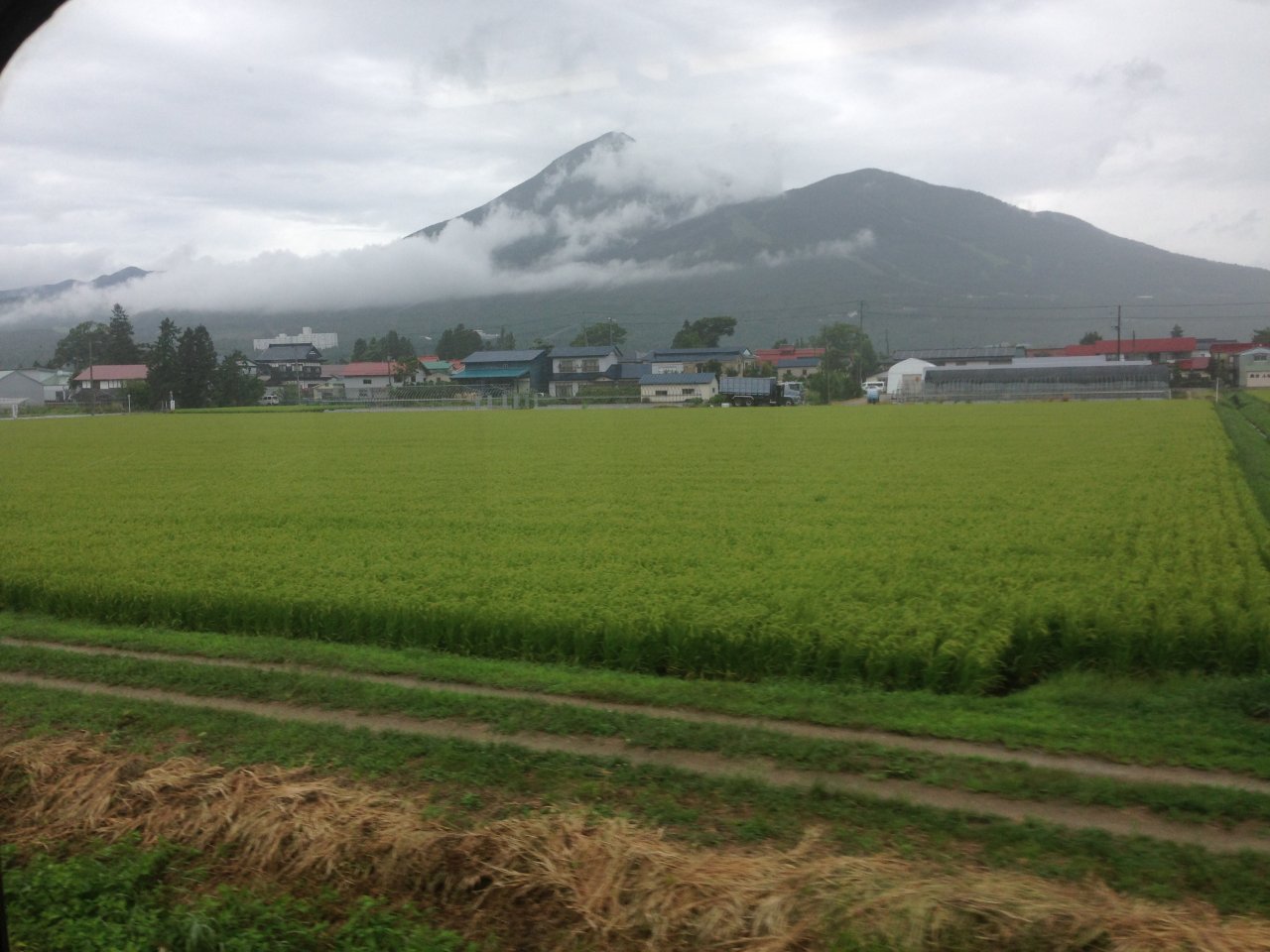 Mt. Bandai After the Typhoon with a Rice Paddy in the Foreground
