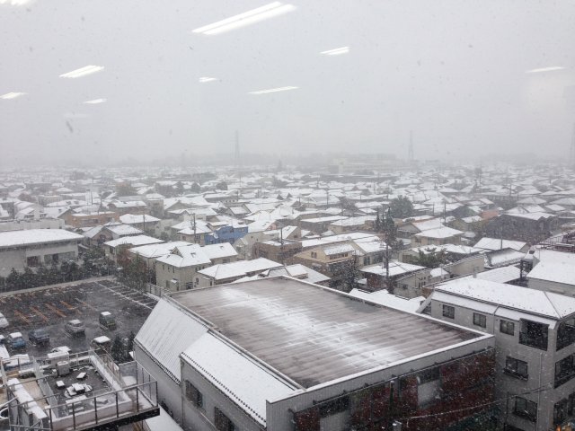 Snow in November in Tokyo Image 5