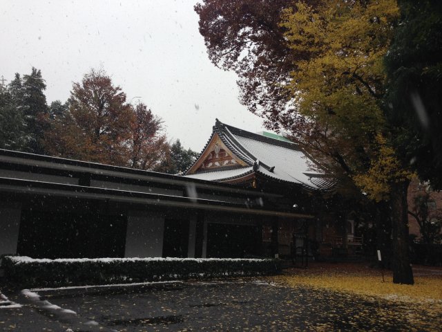 Snow in November in Tokyo Image 8